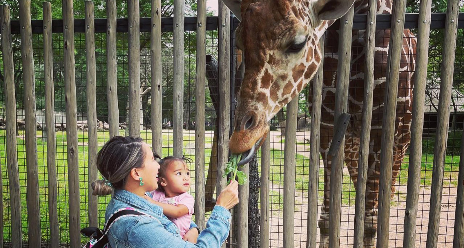 Photo: /74/BROOKFIELDZOO BrookfieldZooHeader.jpg